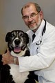 Pinellas Animal Hospital image 2