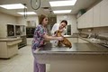 Pinellas Animal Hospital image 10