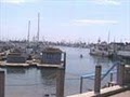 Point Loma Seafoods image 7