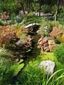 Pondmagic Water Gardens image 2