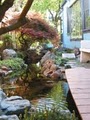 Pondmagic Water Gardens image 3