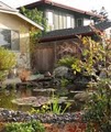 Pondmagic Water Gardens image 4