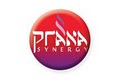Prana Synergy logo