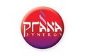 Prana Synergy logo