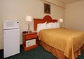 Quality Inn Airport image 4