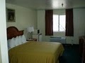 Quality Inn Airport image 8