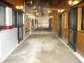 RR Equine Stables LLC image 2