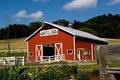 Rainbow Ridge Farms B&B image 10