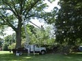 Ray's TreeWorks & Landscaping image 3