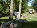 Ray's TreeWorks & Landscaping image 4