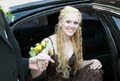 River Forest Limousine Services image 8