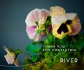 River image 1