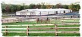 Rose Haven Equestrian Center at Wolf Mountain image 1