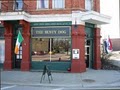 Rusty Dog Irish Pub logo
