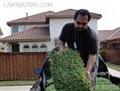 SOD installation,Tree Services,Landscaping,Fence Installation,Stone Work image 1