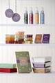 Scentsy Wickless Candles Consultant image 5