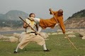 Shaolin Chan City image 4