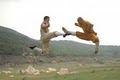 Shaolin Chan City image 5