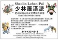 Shaolin Lohan Pai Lion Dance Troupe image 1