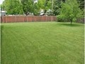 Simple Solutions Lawncare image 5