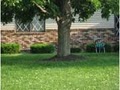 Simple Solutions Lawncare image 6