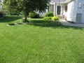 Simple Solutions Lawncare logo