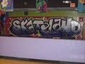 Skateland:  Children's Birthday Parties image 5