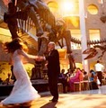 Solstice Productions - Atlanta Wedding DJ Disc Jockey image 1