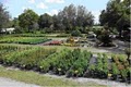 Stevens Nursery & Landscaping image 2
