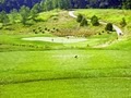 Stonewolf Golf Club image 3