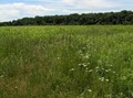 Stony Brook-Millstone Watershed Association image 8