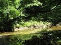 Stony Brook-Millstone Watershed Association image 9