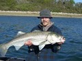 Swamp Yankee Sport Fishing Charters image 3
