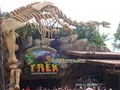 T-Rex - Orlando image 1