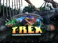 T-Rex - Orlando image 2