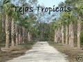 Tejas Tropicals LLC image 7