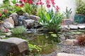Terra Bella Landscaping image 5