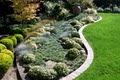 Terra Bella Landscaping image 7