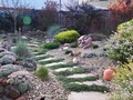 Terra Bella Landscaping image 8