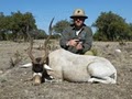 Texas Hunt Lodge logo