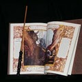 The Gilded Quill image 10