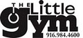 The Little Gym image 1