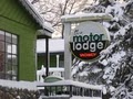 The Motor Lodge image 5