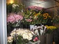 The Rose Girls Florist & Hydroponic Supplies image 3