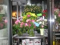 The Rose Girls Florist & Hydroponic Supplies image 4