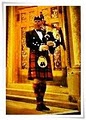 The RoyalPiper image 2