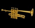 "The Trumpeter's Studio" logo