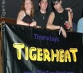 Tigerheat image 2