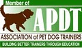 Toledo Dog Training image 2