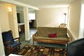 Treat House Vacation Rental in Ballard. image 3